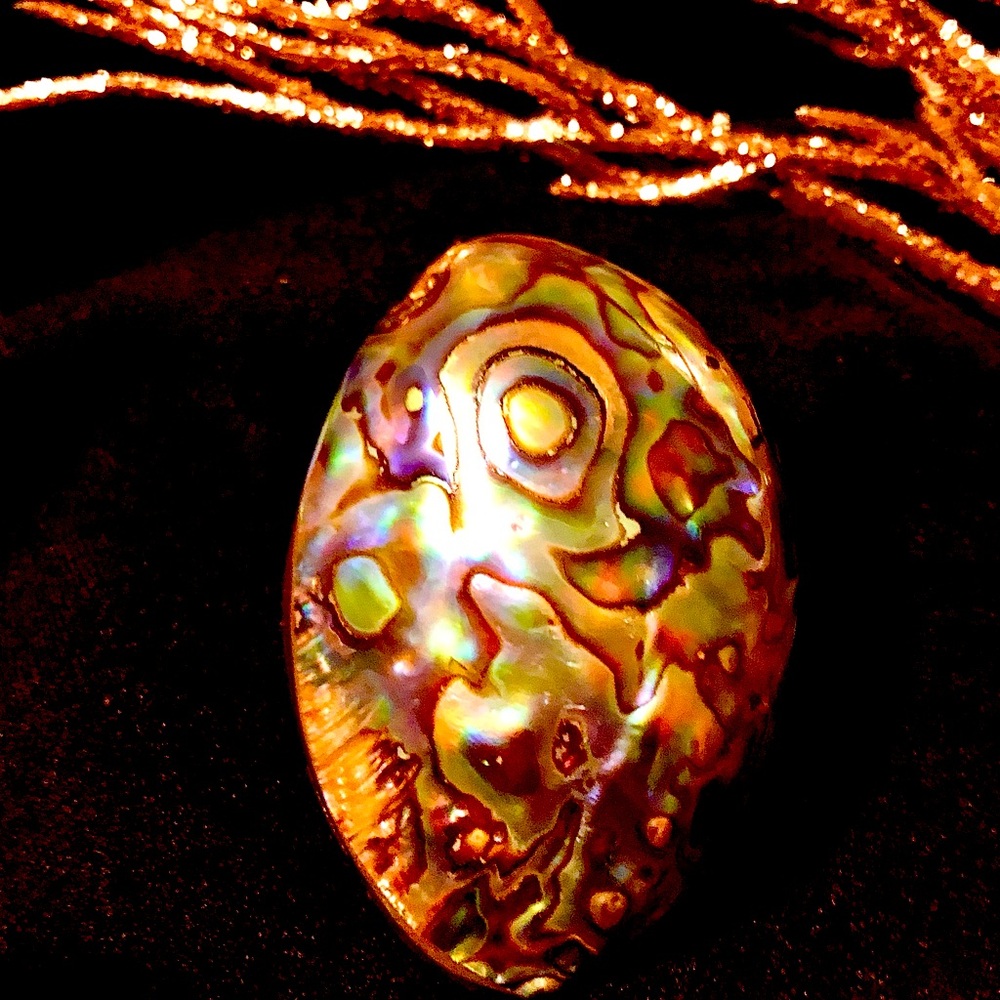 Beautiful Abalone Shell With Multiiridescent Hues… - image 4